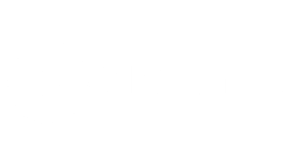 Vision S
